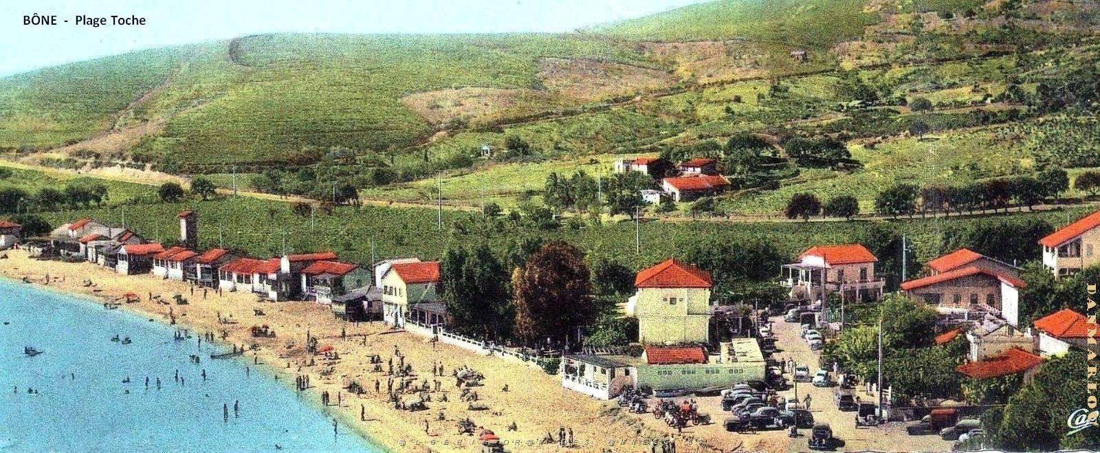 Bone - Plage Toche.jpg
